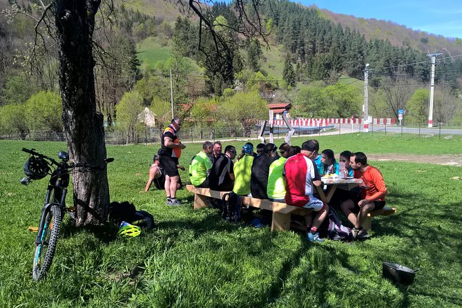 Day trip from Brasov: Bison reserve & traditional lunch - Guides and small-group pacing in English