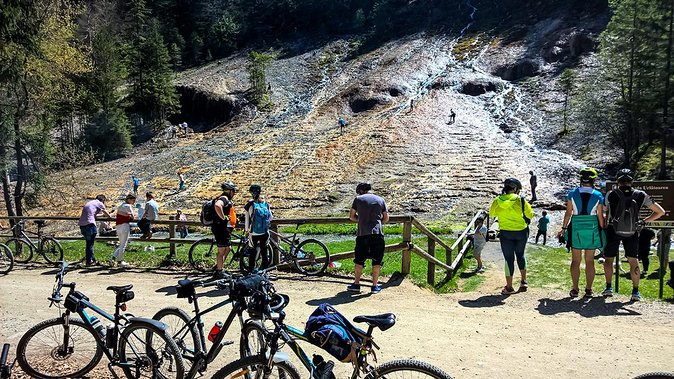 Day trip from Brasov: Bison reserve & traditional lunch - Tips before you go (so the day goes smoothly)