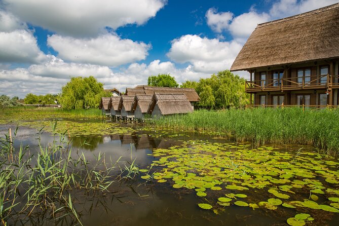Day Trip from Bucharest to Danube Delta - On the Water in the Danube Delta: 4 to 5 hours, local guidance, and real spotting time