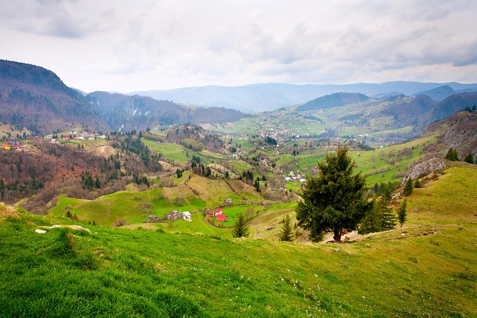 Day trip from Iasi to the UNESCO Painted Monasteries in Bucovina - Your guide is the difference between seeing art and understanding it