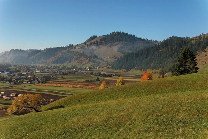 Day trip on Quad ATV - Transylvanian outdoor adventure - Group size, meeting time, and why the day runs better than you’d expect