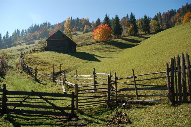 Day trip on Quad ATV - Transylvanian outdoor adventure - Price and value: is $216.13 worth it?