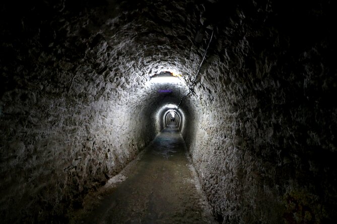 Day Trip to Turda Salt Mine and Corvin Castle from Timisoara - A Timisoara Pickup That Makes the Day Feel Effortless