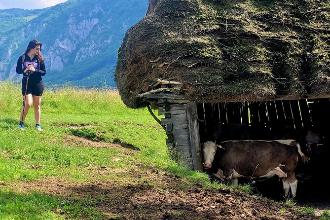 Discover Apuseni Mountains - Scarita Summit,Sipote Waterfall and Dumesti Village - Lunch, Snacks, Water: Why Included Food Matters on a 9-Hour Day