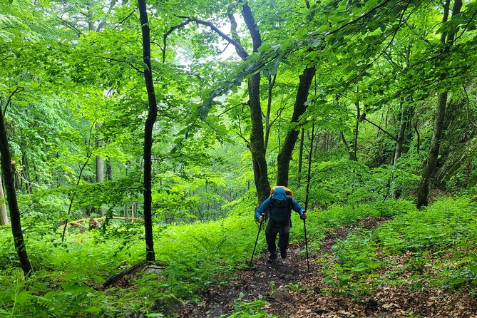 Discover Apuseni Mountains - Scarita Summit,Sipote Waterfall and Dumesti Village - Price and Value From Cluj: What $120.15 Buys You