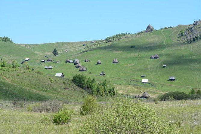 Discover Apuseni Mountains - Scarita Summit,Sipote Waterfall and Dumesti Village - Should You Book the Scarita Summit and Sipote Option?