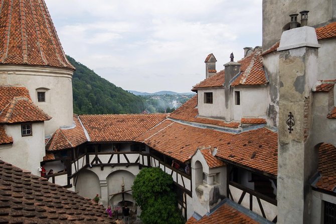 Dracula and Peles Castles Premium Tour with Hotel pick-up - Who should book this tour, and who should choose differently