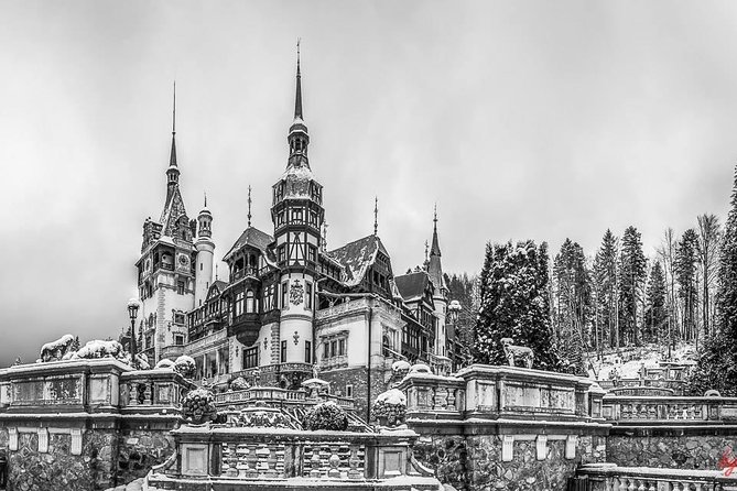 Dracula's Castle, Peles Castle and Brasov - Private Day Trip from Bucharest - The drive itself: why the route feels calmer with a good guide