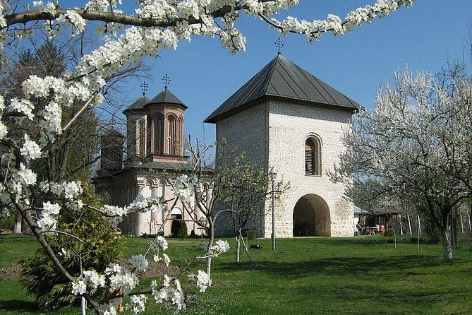 Dracula's Tomb and Mogosoaia Palace, Private Tour from Bucharest - Stop 3: Lake Snagov, where the monastery makes sense