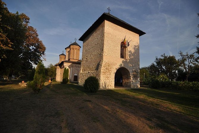 Dracula's Tomb and Mogosoaia Palace, Private Tour from Bucharest - Who should book this private Snagov and Mogosoaia mix