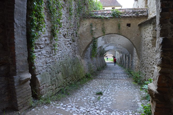 Exclusive tour: Sighisoara, Medias and Biertan tour from Sibiu - How Flexibility Can Show Up in Real Life