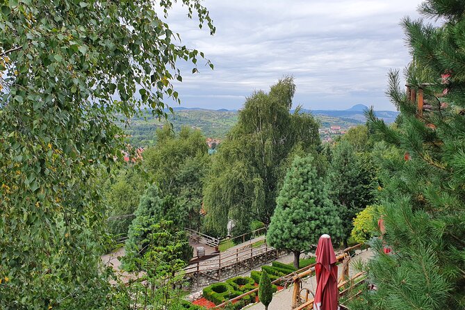 Executive Dracula Day Trip - See Bran & Peles Castle, Brasov from Bucharest - What the day trip is best for