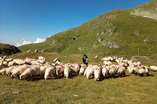 Expedition in Fagaras Mountains from Brasov (Private Tour!) - Why the Fagaras ridge feels like a Romanian challenge course