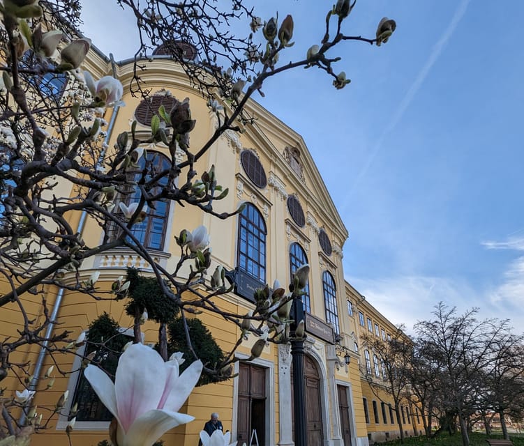 Food, Wine And Sightseeing Tour in Oradea, Romania - Key highlights you will feel right away