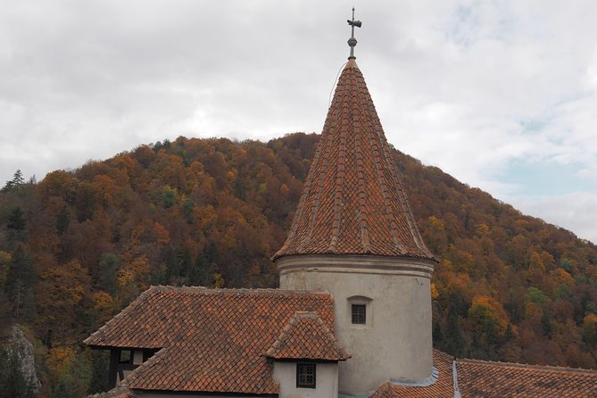 From Brasov: Discover Bran Castle and Râșnov Fortress - Brasov pickup and why the small group feels better