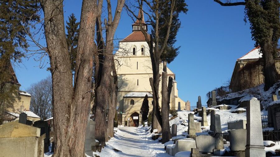 From Brasov: Guided Sighisoara and Sibiu Private Day Trip - Sibiu on foot: Big Square, Gothic style, and Council Tower views