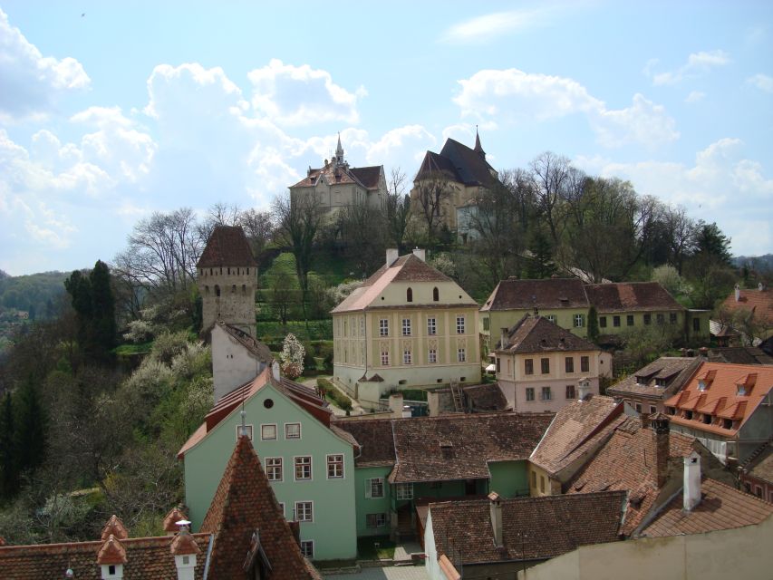 From Brasov: Guided Sighisoara and Sibiu Private Day Trip - Food timing, lunch options, and what is (and isn’t) included