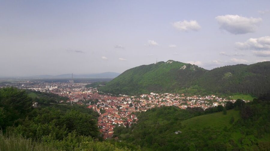 From Brasov: Peles Castle, Bran Castle & Cantacuzino Castle - Who this tour fits best (and who might want a different plan)