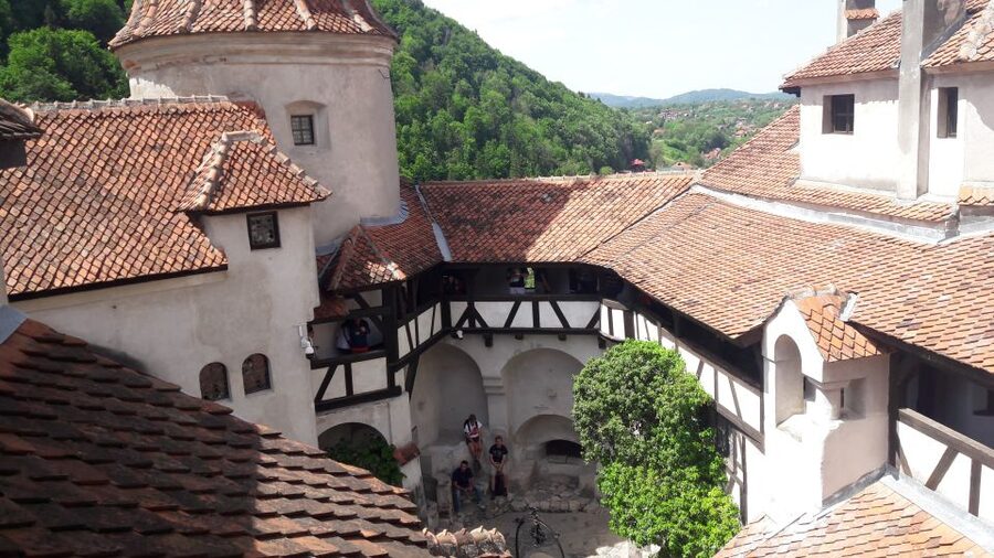 From Brasov: Peles Castle, Bran Castle & Cantacuzino Castle - Peleș Castle timing, ticket slots, and why first entry matters