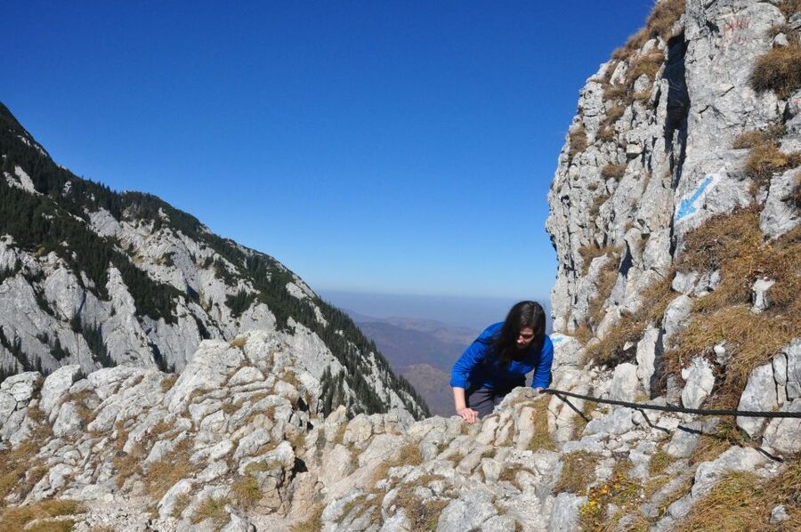 From Brasov: Piatra Craiului National Park Private Day Tour - Key highlights to know before you go