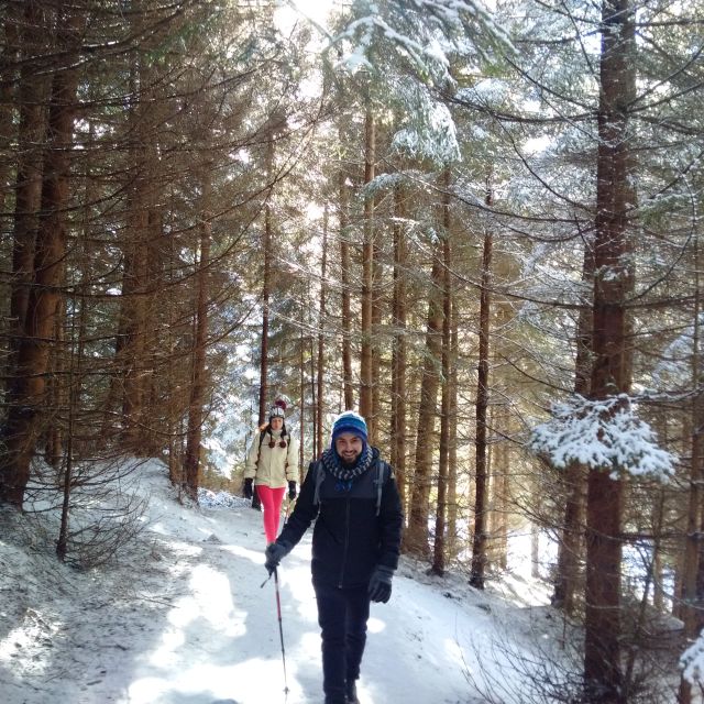 From Brasov: Piatra Craiului National Park Private Day Tour - Why Piatra Craiului Feels Different Than a Typical Day Hike