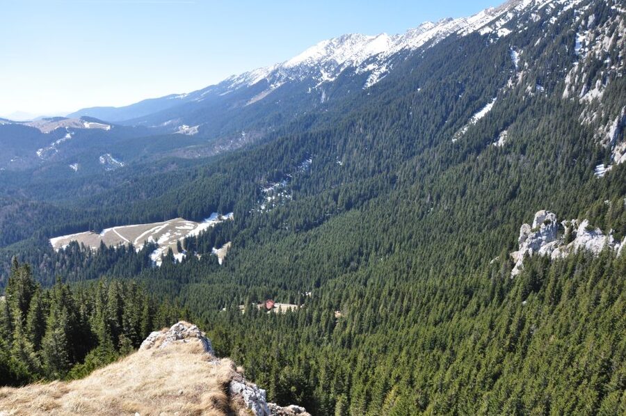 From Brasov: Piatra Craiului National Park Private Day Tour - Shepherding and Cheese-Making Lessons That Make Sense on the Trail