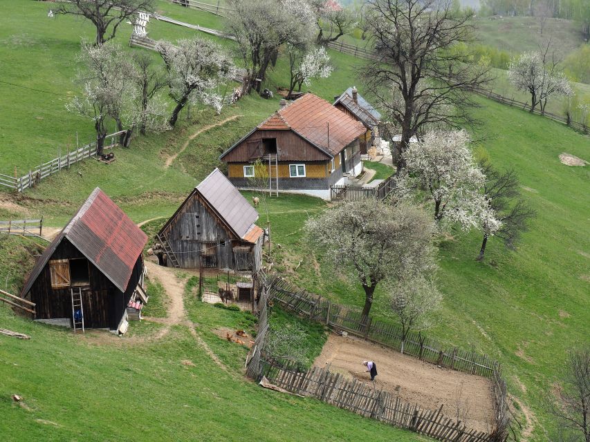 From Brasov: Romanian Mountain Villages Day Tour - Key things that make this tour worth your day