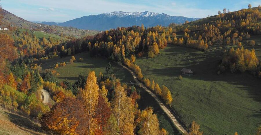 From Brasov: Romanian Mountain Villages Day Tour - Why the Bat Cave and village hike combo works