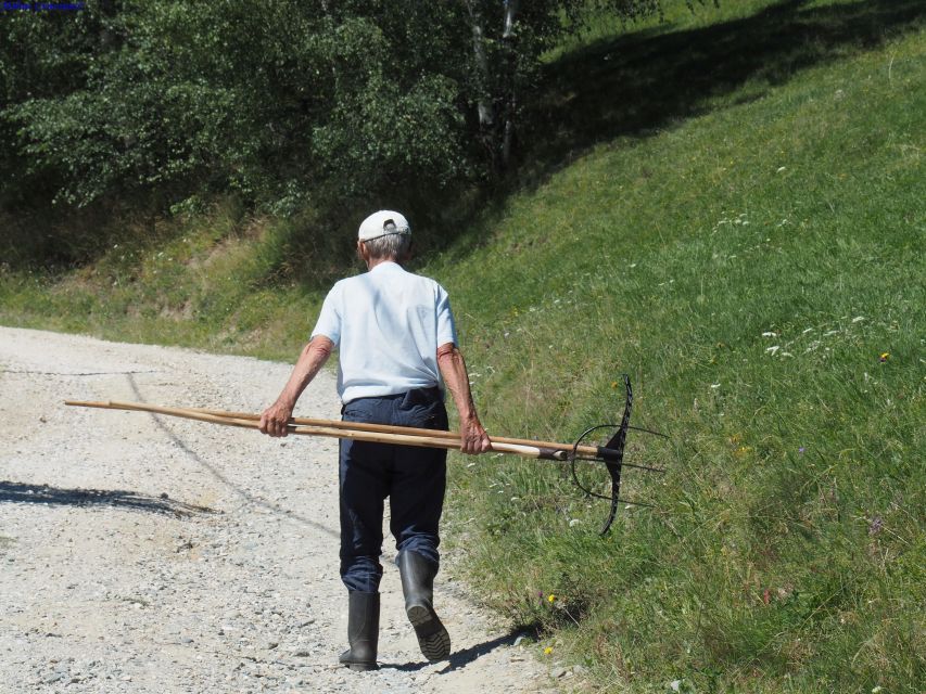 From Brasov: Romanian Mountain Villages Day Tour - Entering the Bat Cave: limestone time and possible bat sightings