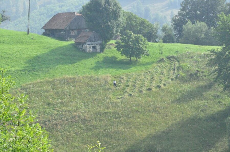 From Brasov: Romanian Mountain Villages Day Tour - The Magura trek: 3 to 4 hours with a real trail feel
