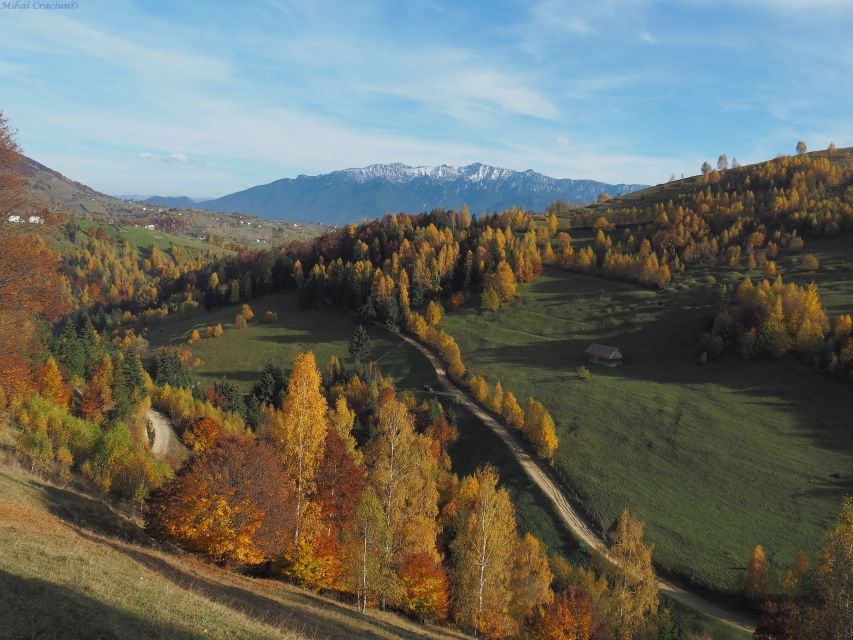 From Brasov: Romanian Mountain Villages Day Tour - Oldest guesthouse in the park: where lunch becomes the reward