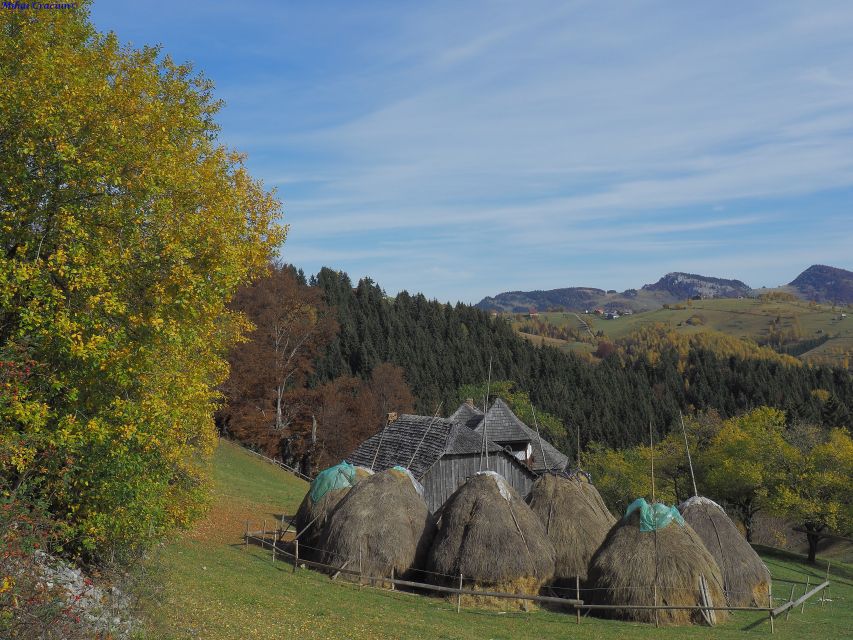 From Brasov: Romanian Mountain Villages Day Tour - A quick note on Bran Castle: sometimes possible, not guaranteed