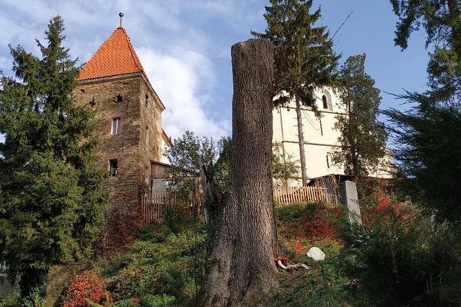 From Brasov: Sighisoara and Sibiu with Hotel Pick up and Drop off - Who should book this tour, and who might want a different plan