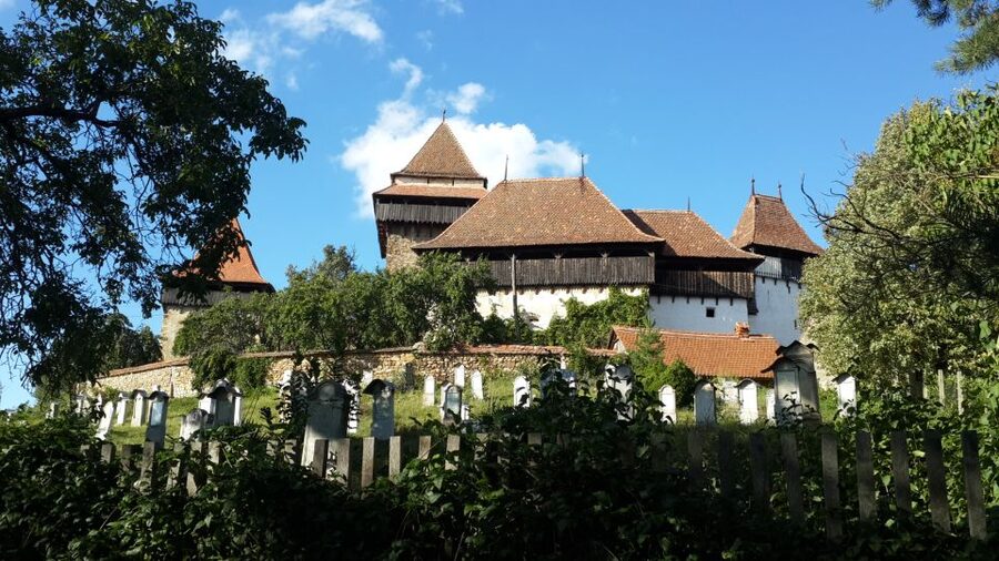 From Brasov: Sighisoara and Viscri UNESCO Day Tour - Souvenirs and photo stops that feel worth the time