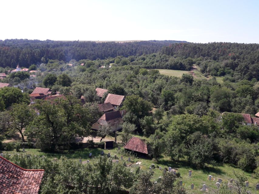 From Brasov: Sighisoara, Viscri, and Rupea Unesco Day Trip - Rupea Citadel: Three Defensive Walls and Hilltop Clues