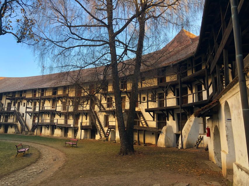 From Brasov: Small-Group Half-Day Fortified Churches Tour - Should you book Prejmer and Hărman from Brașov?