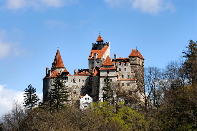 From Brasov: Small-group tour Bran, Rasnov, and Peles Castles - Getting to the mountains, timing, and how the day flows