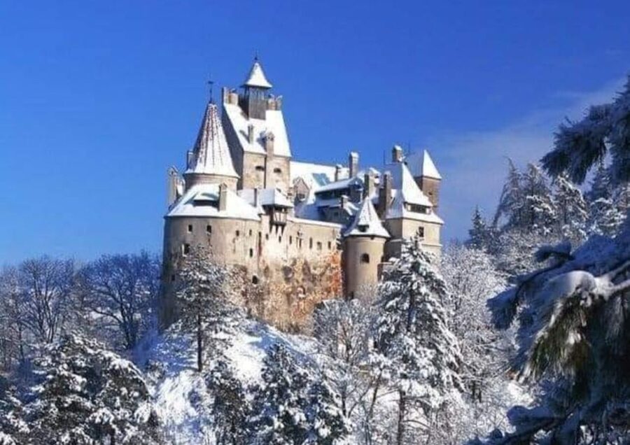 From Bucharest: 2-Day Tour to Brasov and Sighisoara - Money and value: is $370 per person fair?