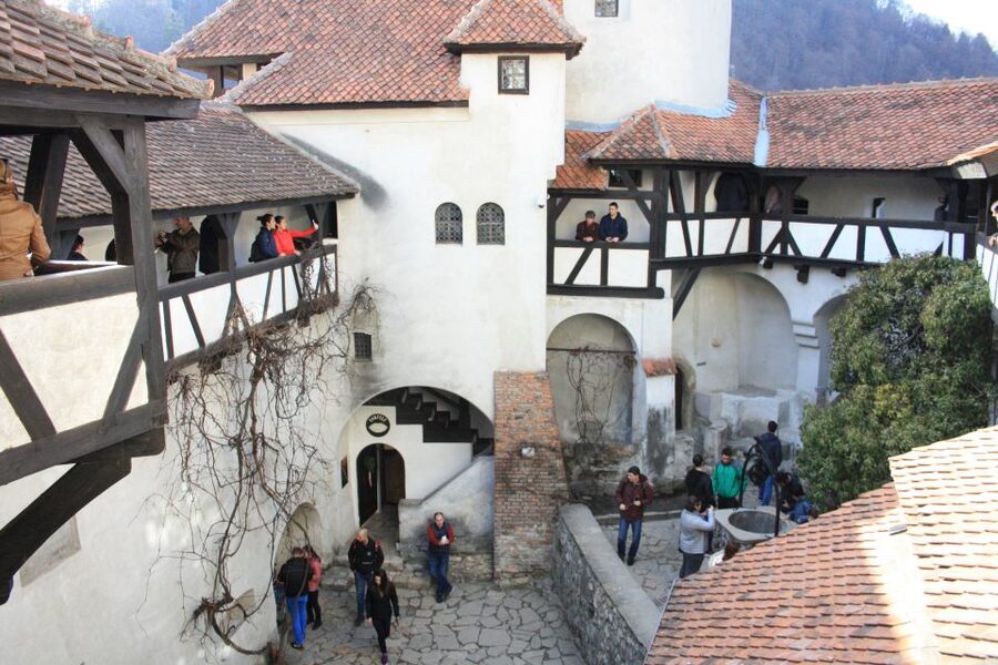 From Bucharest: Bear Sanctuary and Dracula Castle Day Tour - Price and value for $346 per person