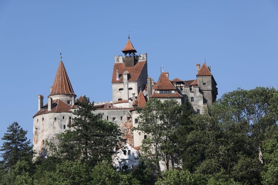 From Bucharest: Bear Sanctuary and Dracula Castle Day Tour - Should you book this Dracula plus bear day?