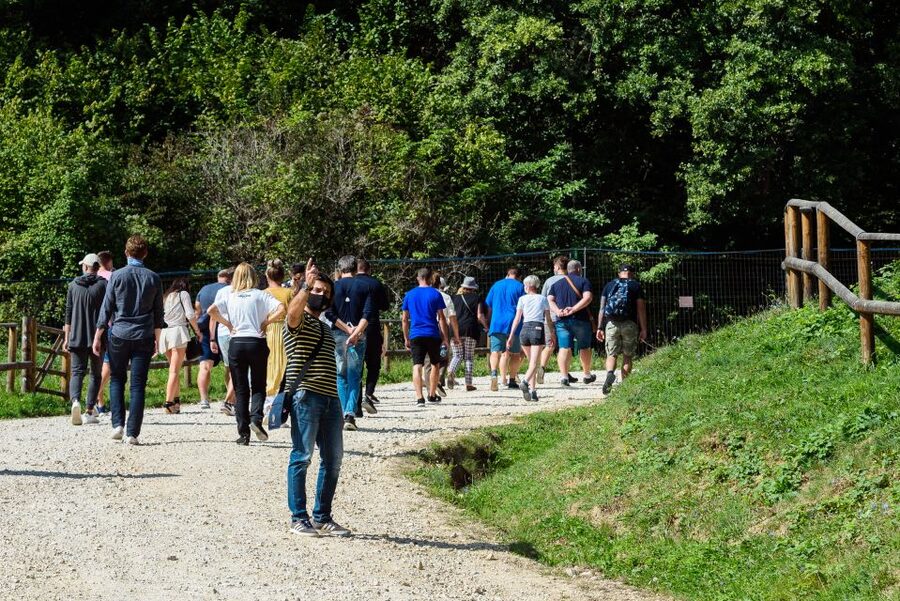 From Bucharest: Bear Sanctuary and Dracula Castle Day Tour - Bran Castle: Dracula mood, guided context, real time on-site