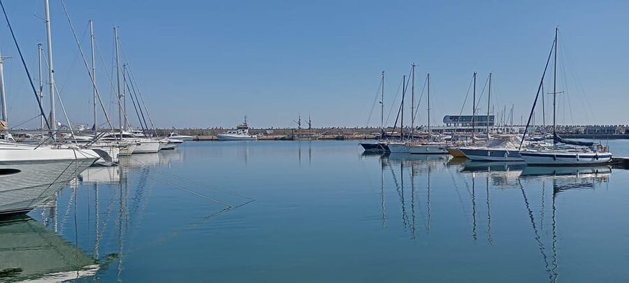 From Bucharest: Black Sea Constanța Day Tour - Small practical details that matter (ID, photos, and renovations)