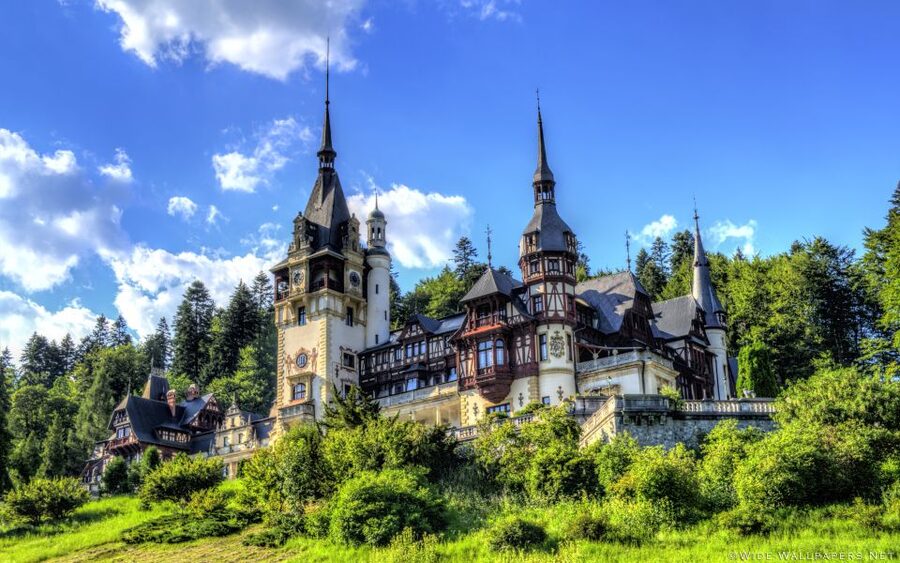 From Bucharest: Day Trip to Dracula and Peles Castle - The pause that matters: lunch and Q&A before you head back