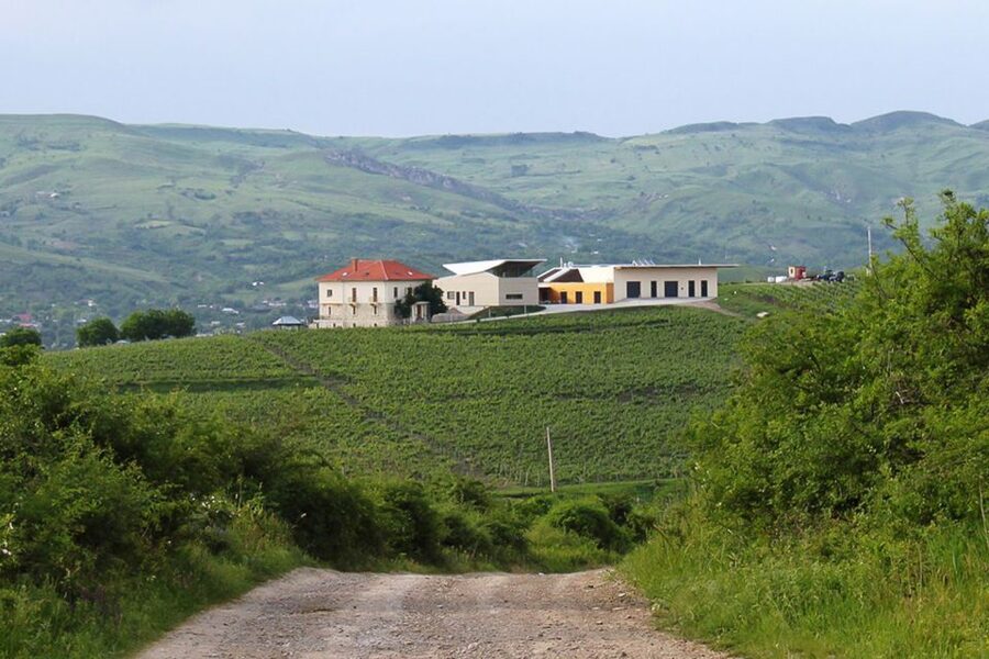From Bucharest: Exclusive Dealu Mare Wine Tasting Tour - Bucharest to Dealu Mare in One Comfortable Day