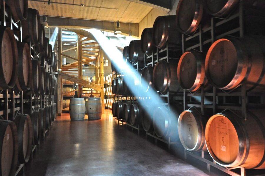 From Bucharest: Exclusive Dealu Mare Wine Tasting Tour - 1000 Chipuri Winery: Family Craft, Barrel-to-Glass Insights, and Six More Wines