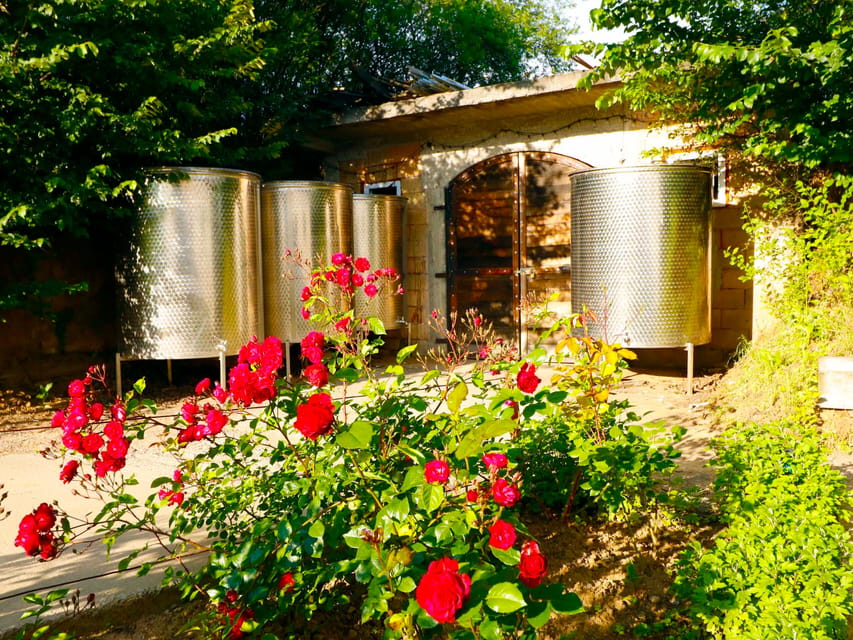 From Bucharest: Exclusive Dealu Mare Wine Tasting Tour - The 12-Wine Flight, Including Fetească Neagră and Tămâioasă Românească