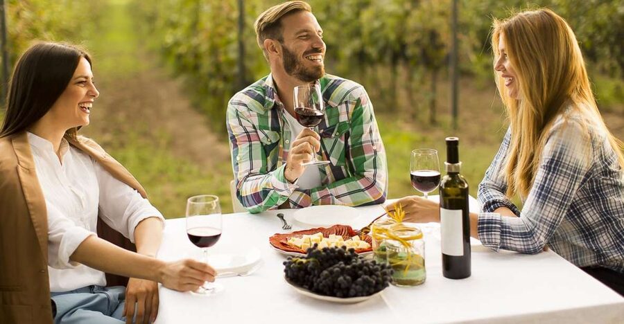 From Bucharest: Exclusive Dealu Mare Wine Tasting Tour - Price and Logistics: Is $260 Per Person Worth It?