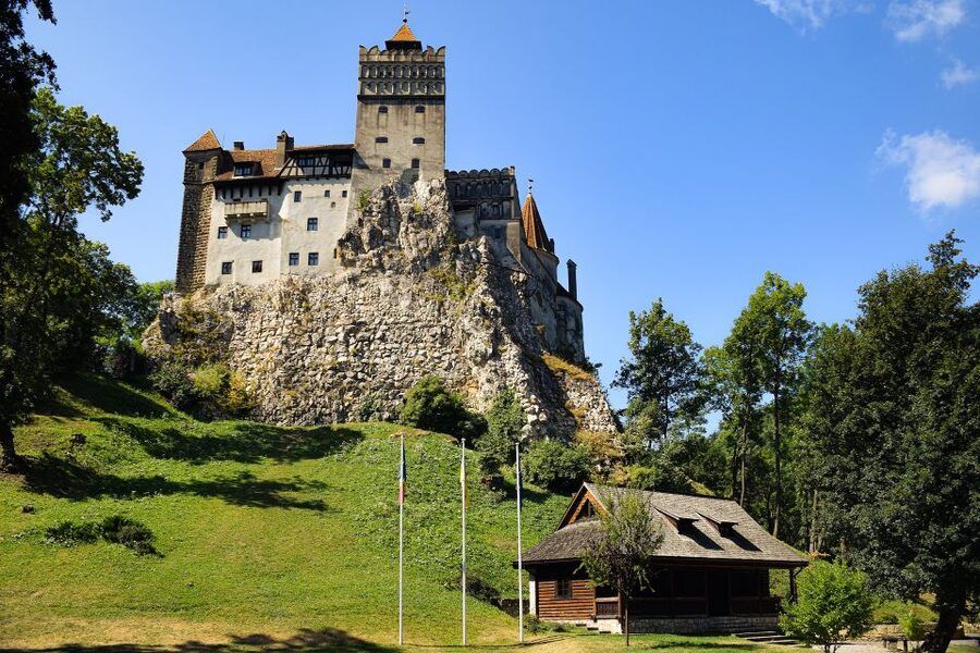 From Bucharest: Libearty Bear Sanctuary and Dracula's Castle - Key Highlights at a Glance
