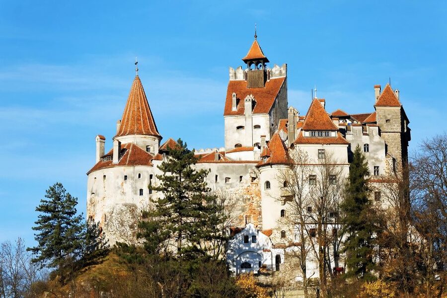 From Bucharest: Libearty Bear Sanctuary and Dracula's Castle - A Long Day From Bucharest: What the 10 Hours Really Mean
