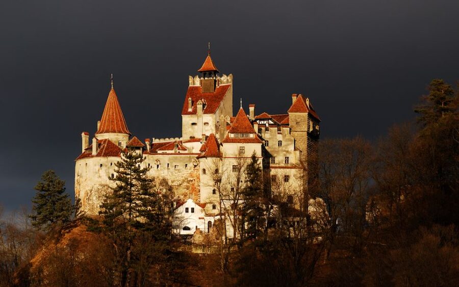 From Bucharest: Peleș and Bran Castles Private Tour - Key moments that make this tour worth your time